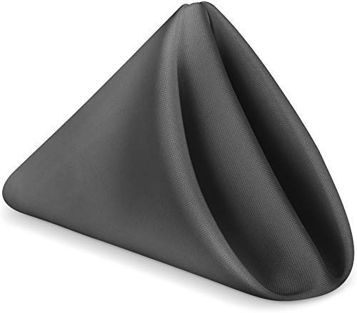 Avalon Kitchen Cloth Napkins Pack of 24 - Black Napkin 17x17